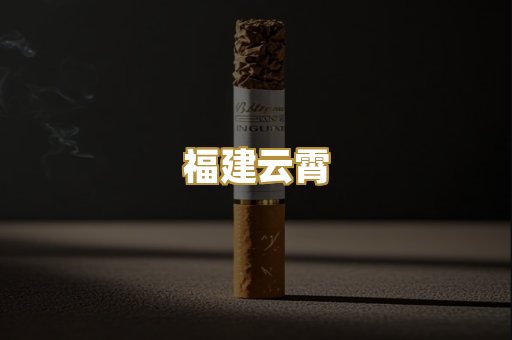 福建云霄